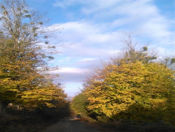 سکوتی دلنشین در روستای زیبا و دیدنی اسبراهان