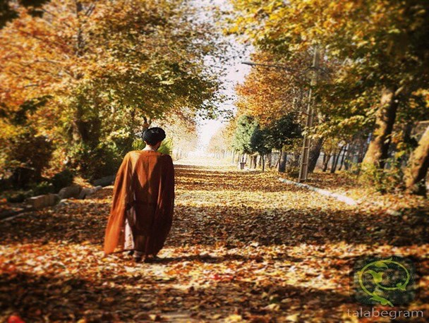 حلاوت فقه در کام عده ای قلیل!
