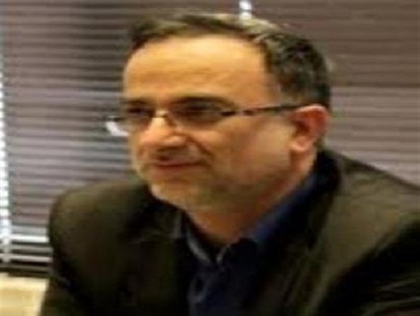 شورای اسلامی می تواند در انتخابات مشارکت کند/ شوراییان برای جذب حداکثری تلاش می کنند