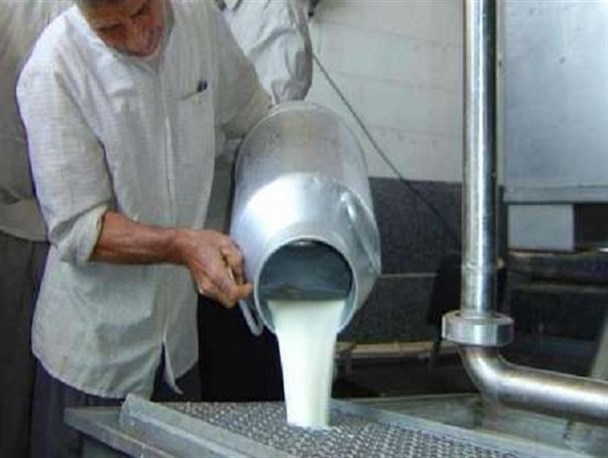 جای خالی کارخانه شیر در نیمروز/ تولید روزانه ۱۵ تن شیر در این شهرستان
