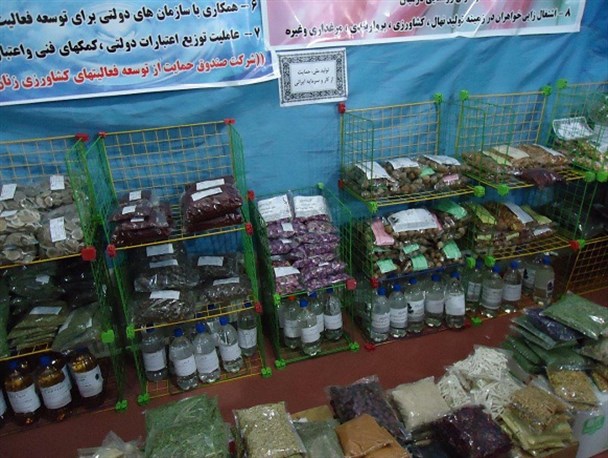 زنان روستای درمیان با اشتغال‌زایی مانع مهاجرت شده‌اند