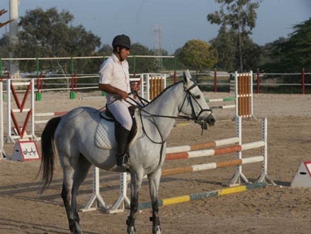 امکان قرنطینه 21 روزه اسب در کیش، ظرفیتی منحصر بفرد در کشور