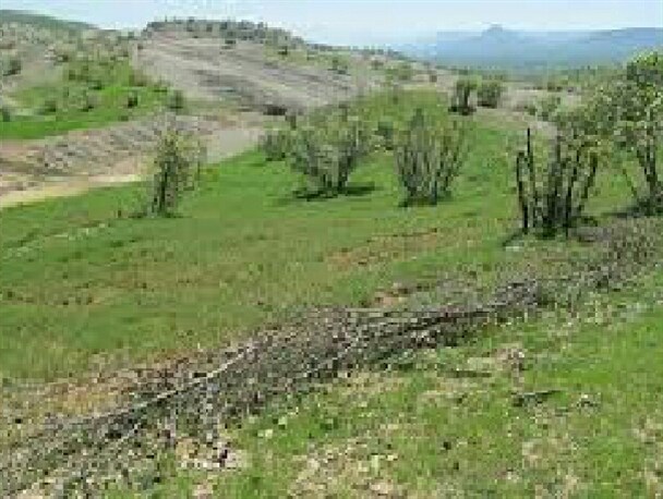برگشت بیش از ۳ هکتار از اراضی گنبد به چرخه تولید