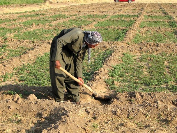 شرایط فاجعه ‌بار منابع آب‌های زیرزمینی/ اراضی کشاورزی در محاصره کمبود آب هستند