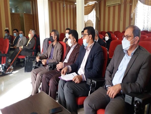 باید برای حل مشکلات تعاونی ها به دنبال راهکار بود