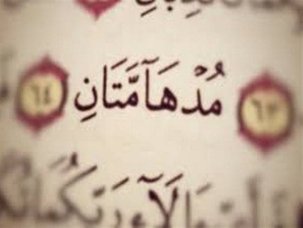 مرحله استانی مسابقات قرآنی«مدهامتان» در زنجان برگزار می شود