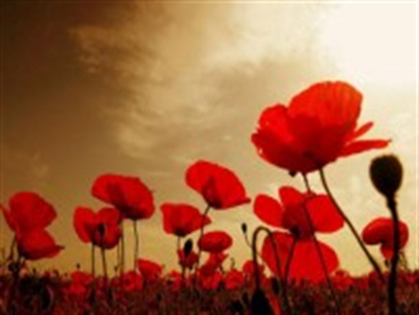 " اولین ها" و " ترین های " شهدای علی آباد کتول + عکس