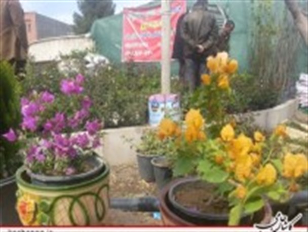 برپایی مراکز عرضه گل و گیاه در نقاط مختلف شهر