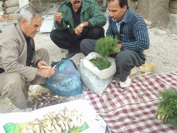 بازار فروش گیاهان کوهی بهاره در جوانرود آغاز شد