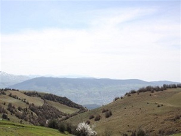 طبیعت زیبای روستای "سفید چاه" در آستانه نوروز + تصاویر