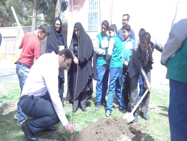کاشت نهال به یاد شهدای دانش آموز و دانشجو در بوستان بسیج کنگاور + تصاویر