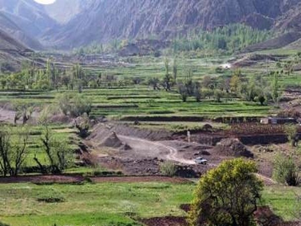 «کوه شصت دره» صنوبر تفرجگاه بهاری تربت حیدریه