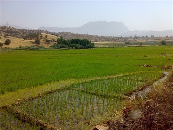روستای سبزوار با طبیعتی سرسبز از جاذبه های گردشگری چگنی