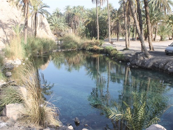 طبیعت زیبای چشمه سبز پوشان حاجی آباد+تصاویر