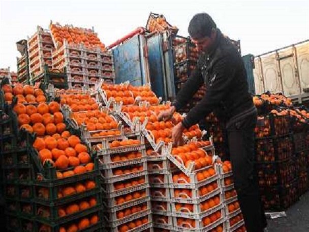 برپایی ۸۱ غرفه توزیع میوه شب عید در استان/ فروش میوه‌های خارج از طرح تنظیم بازار در غرفه‌ها ممنوع است