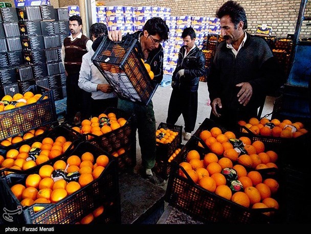توزیع میوه شب عید همدان از 26 اسفندماه/متولی توزیع تعاون روستایی است نه شهرداری و اتحادیه میوه و تره‌ و بار