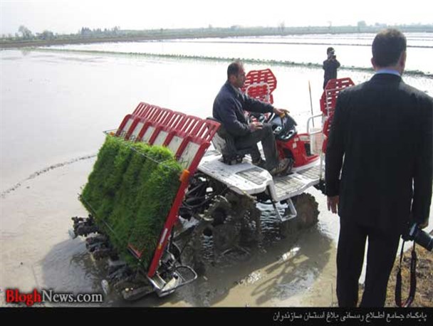 اولین نشاء مکانیزه کشور در میاندرود / تصاویر
