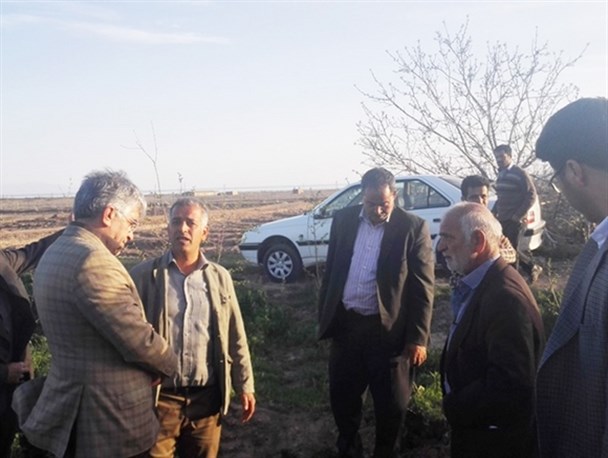 انتقاد نماینده شبستر از قطع درختان یک باغ در تسوج+تصاویر
