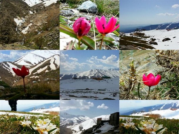 طبیعت زیبای الوند دریک روز بهاری