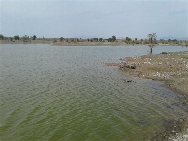 دهنو کوهستان نگین زیبا و فراموش شده در شهرستان رودبار جنوب/تصاویر