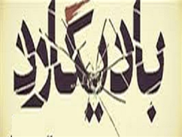تیغ کُند ما و گردن کلفت بادیگارد ها