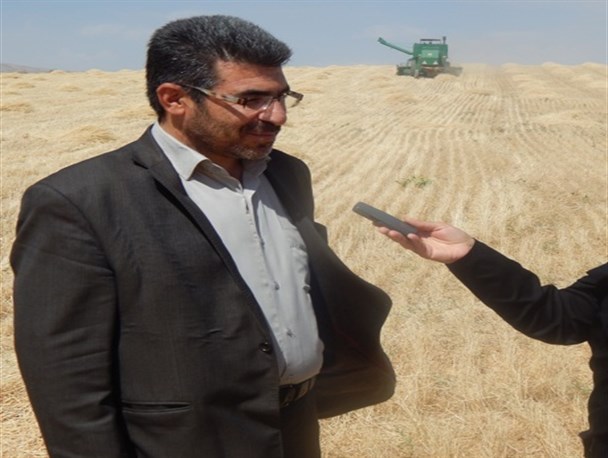 خسارت 10 درصدی سرما به باغات خدابنده/بیمه باغات و مزارع سوپاپ اطمینان برای کشاورزان و باغداران است