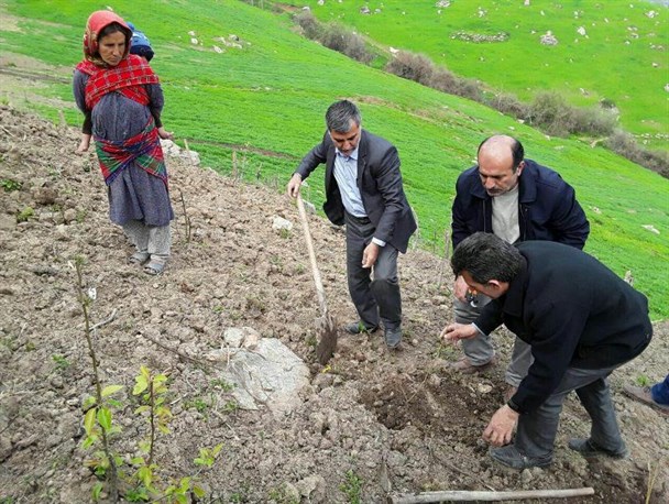 آغاز کشت گیاهان دارویی در روستای ویرو شهرستان رامیان+ تصاویر
