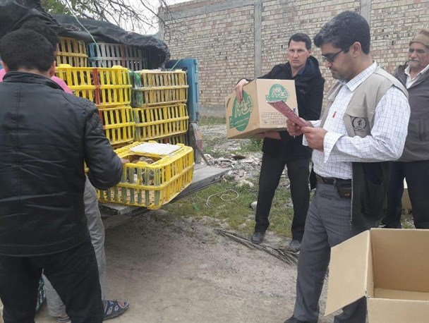 توزیع بیش از 600 جوجه 45 روزه توسط بسیج سازندگی شهرستان رامیان