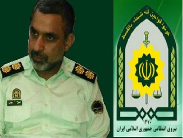 توقیف 454 دام بدون مجوز در مراوه تپه/دامداران مجوز بگیرند
