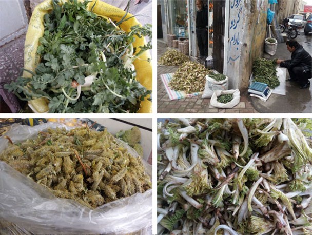 بازار فروش گیاهان بهاری داغ شد/خرید نان شب با فروش"تره کوهی"+تصاویر