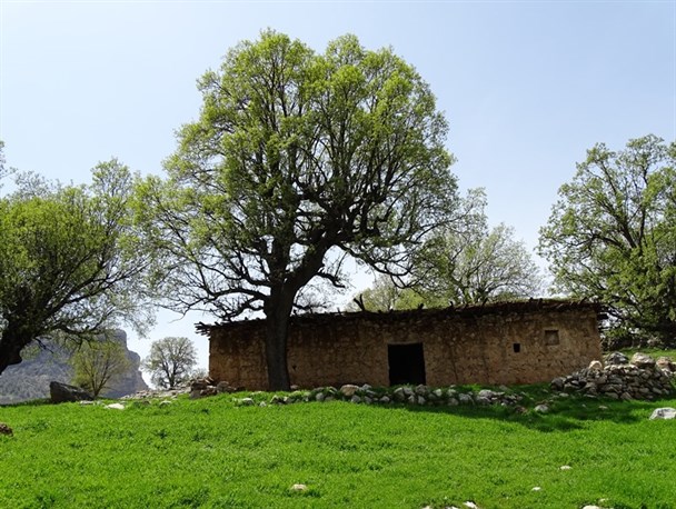 اعجاز بهار در دور افتاده ترین روستاهای شهرستان لنده+تصاویر