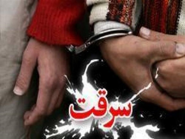 کشف 178 فقره سرقت و دستگیری 96 نفر سارق
