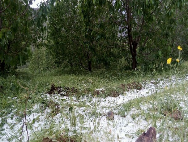 بارش‌های بهاری ۴۰۰ میلیارد ریال خسارت به خراسان شمالی زد