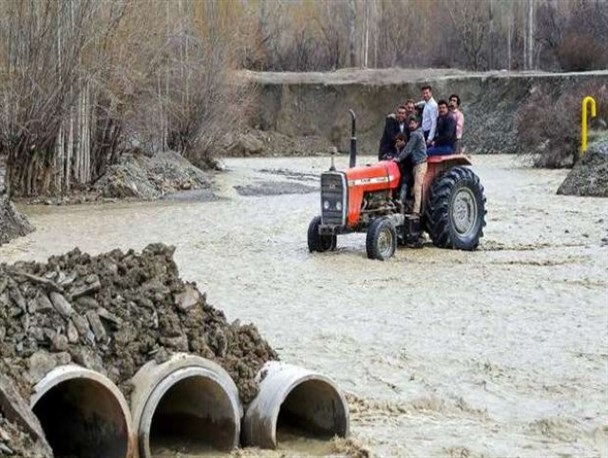 تعدادی از دام‌های روستاییان شیروان گرفتار سیلاب شدند