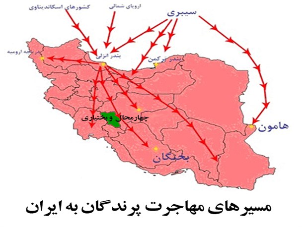 رشد 37 درصدی مهاجرت پرندگان به تالاب‌های چهارمحال و بختیاری