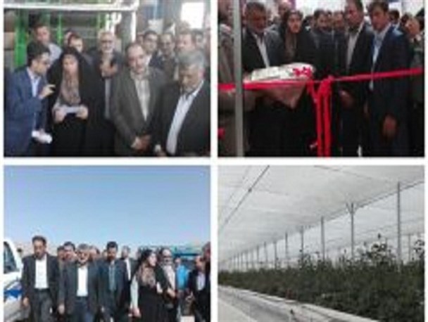 بهره برداری از مدرن ترین سایت های گلخانه ای شهرستان دهاقان