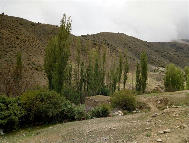 گزارش تصویری/ طبیعت روستای سرداب و سرانی شیروان