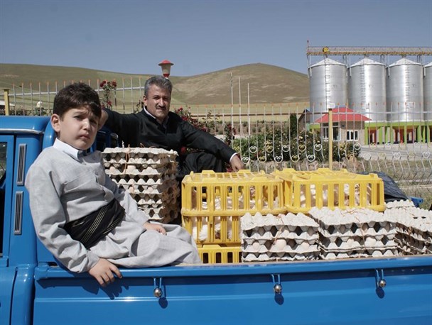 مافیایی شدن ترابری موجب افزایش هزینه‌های تولید می‌شود/ لزوم جدیت مسئولان در حمایت از تولیدکنندگان