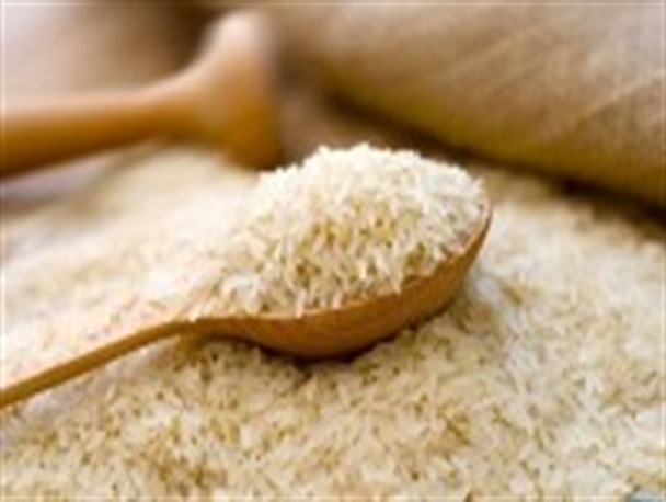 آغاز یکه تازی قاچاقچیان در بازار برنج