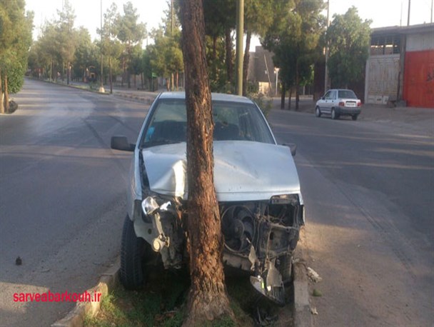 برخورد راننده ابرکوهی با درخت وسط بلوار +تصاویر