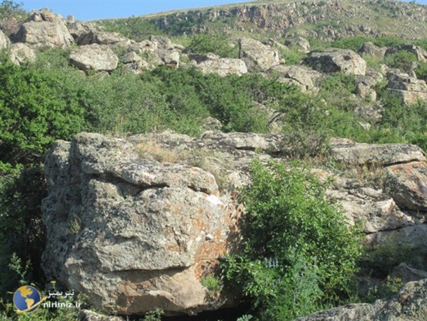طبیعت بکر نیر از دریچه دوربین