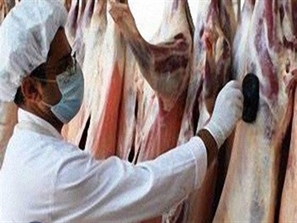 طرح تشدید نظارت بهداشتی دامپزشکی در پاکدشت آغاز شد