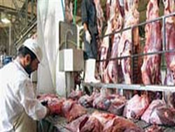مشکلات فاضلاب کشتارگاه تا پایان شهریور ماه حل خواهد شد