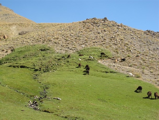 مراتع ماهنشان یکی ازبهترین مناطق ییلاقی استان زنجان است+تصویر