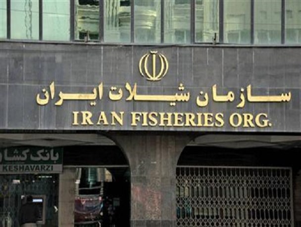 مجاز به پرداخت مطالبات بازنشستگان از ردیف بودجه دیگری نیستیم/مسئولین مطالبات را جدی پیگیری نمی کنند