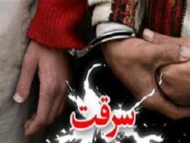 4 باند سرقت در کرمانشاه شناسایی شد/ کشفیات 30 درصدی سرقت