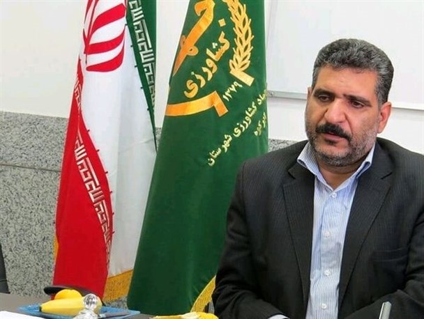 تولید 18 درصد پسته کشور در یزد/ صادرات طلای سبز یزد به ژاپن