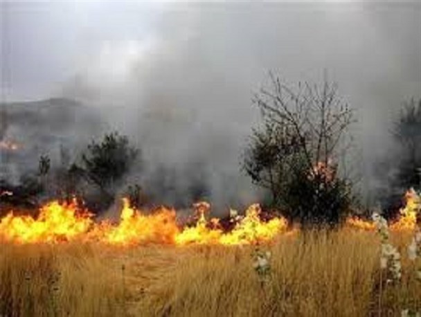 کاهش آتش‌سوزی‌ها نسبت به سال گذشته در زنجان