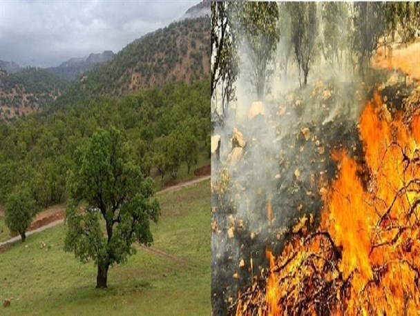 هشدار به مسئولان در خصوص آتش‌سوزی‌های بویراحمد