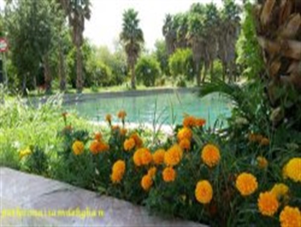 " چشمه بلقیس چرام " باغی رویایی که زیبایی اش را به رخ رهگذران می کشد + تصاویر